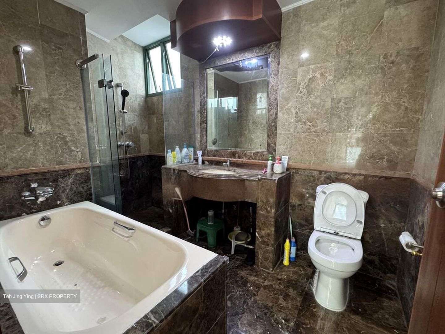 Signature Park (D21), Condominium #455168981